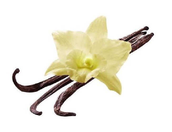 Vainilla